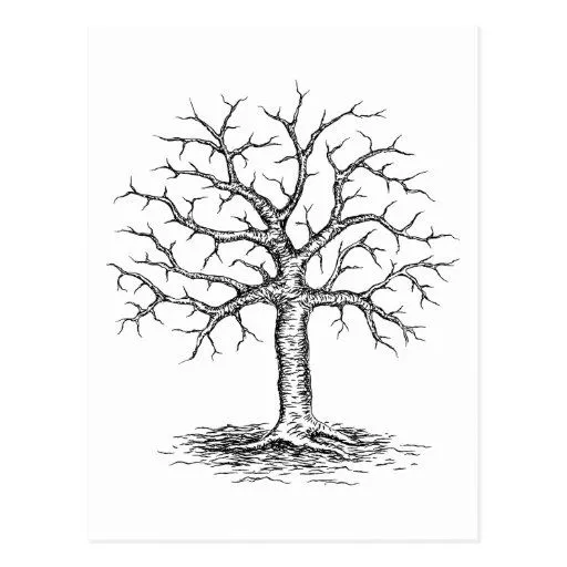 Postal del árbol del invierno de Zazzle.