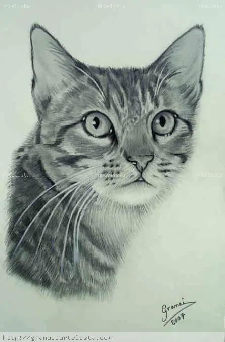 Dibujo artistico animales - Imagui