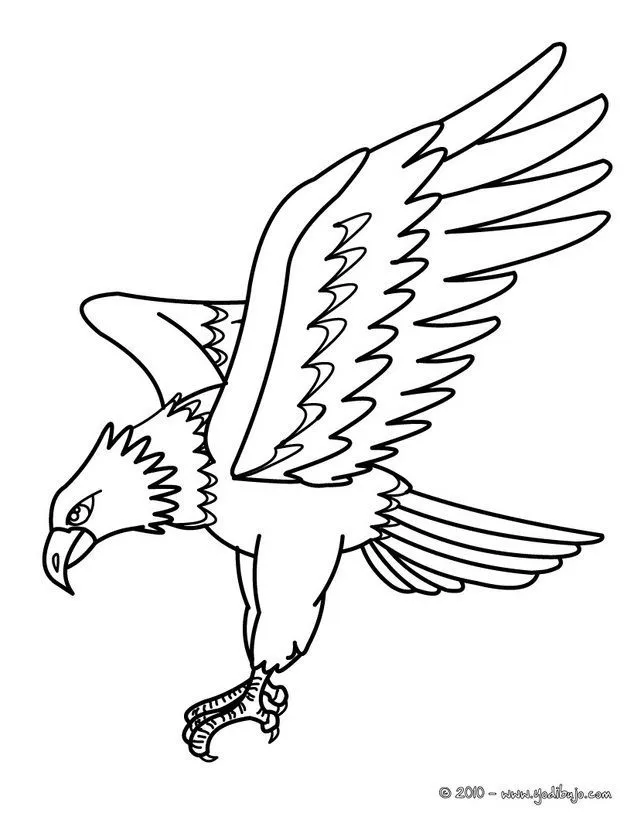 Dibujos AVES para colorear - AGUILA IMPERIAL ORIENTLA | Aguila real dibujo, Aguila para dibujar, Aguila dibujo