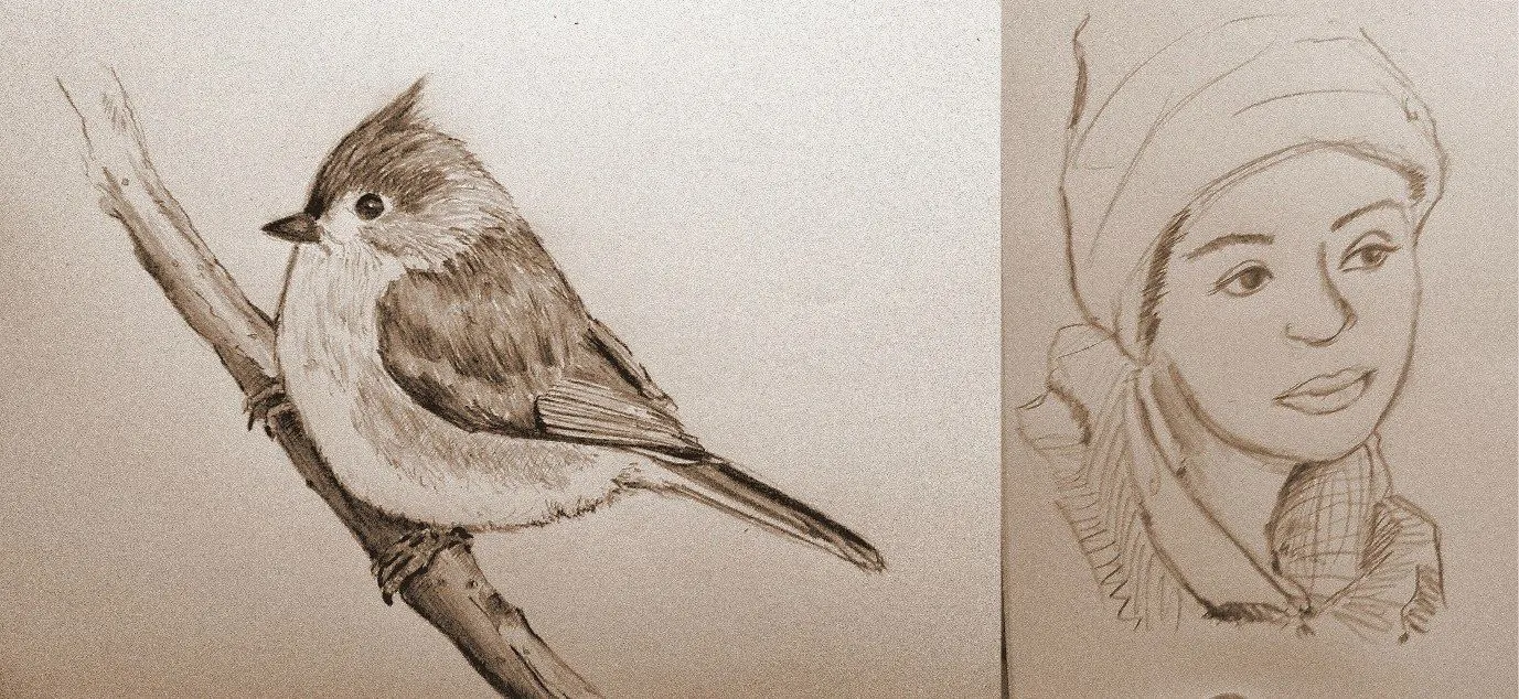 Dibujos de aves a lapiz - Imagui