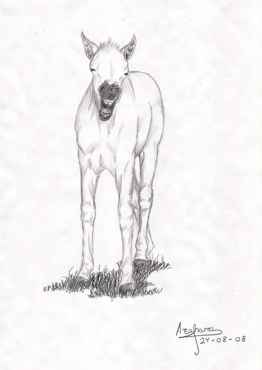 Dibujos Azahara Pérez: Caballos 2004-