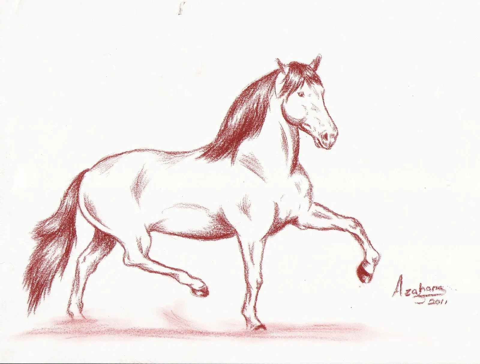 Dibujos Azahara Pérez: Caballos 2011