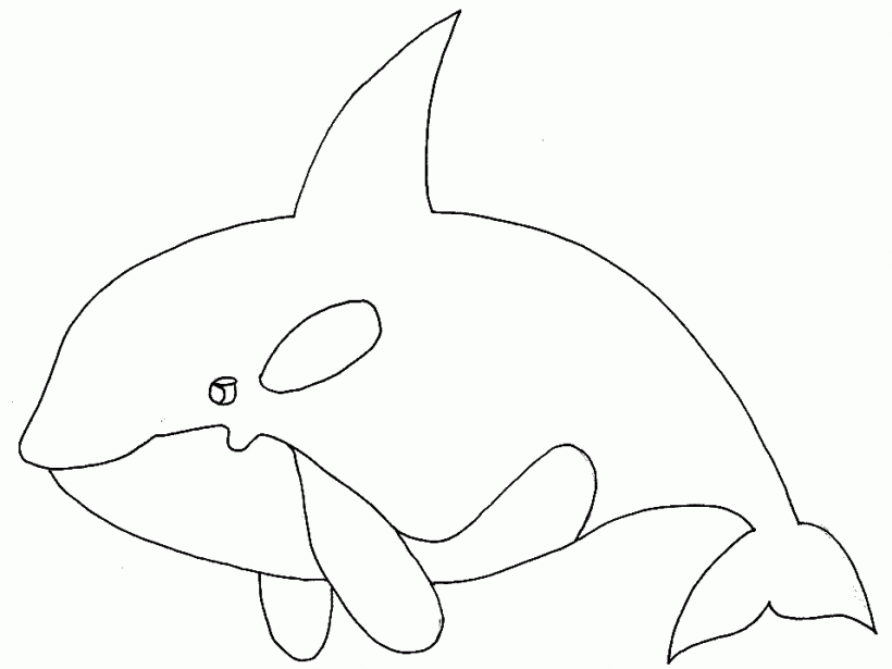 Dibujos de ballenas orcas | ORCAPEDIA