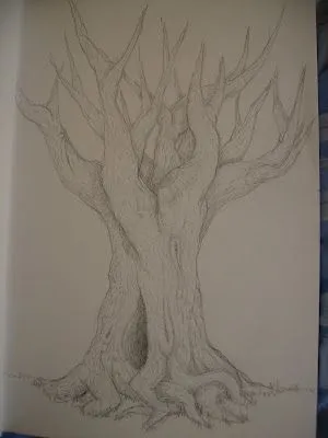 Dibujos y Bocetos: Arboles