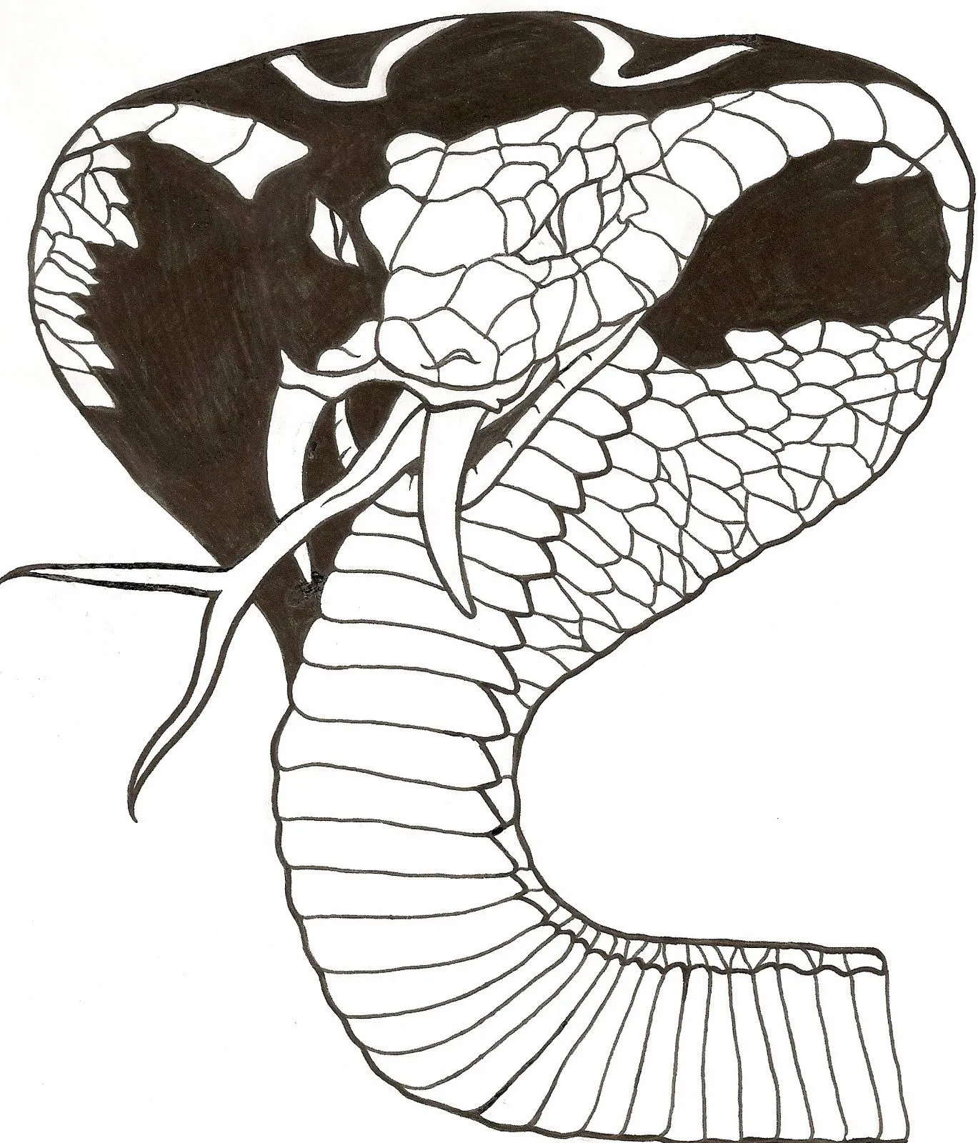 Dibujos y bocetos: Cobra Tatoo