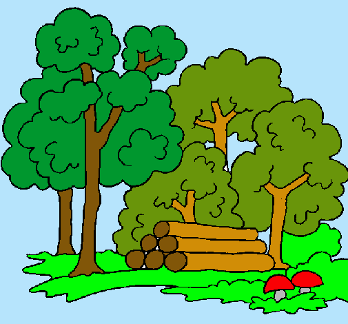 Dibujos de bosques | Dibujos