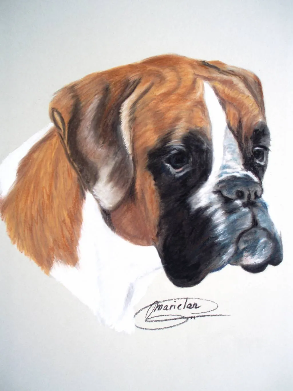 Dibujos de boxer - Imagui