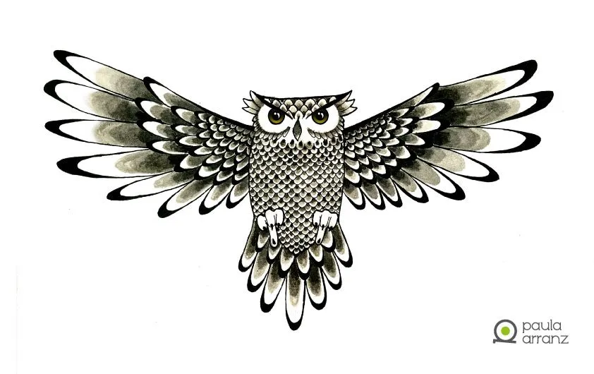 Dibujos de buhos hipster - Imagui