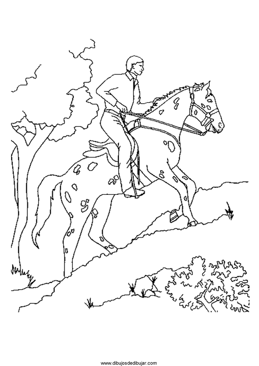 Dibujos de caballos para colorear e imprimir (1 de 5) | Dibujos de ...
