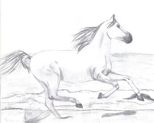 Dibujos de caballo corriendo - Imagui