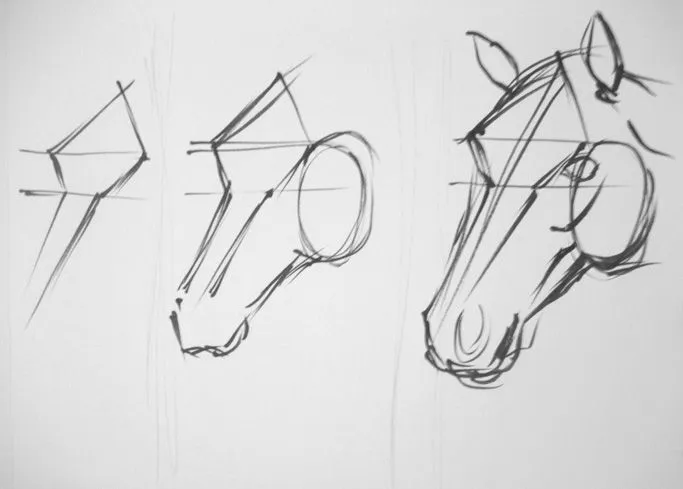 Caras de caballos en dibujos - Imagui