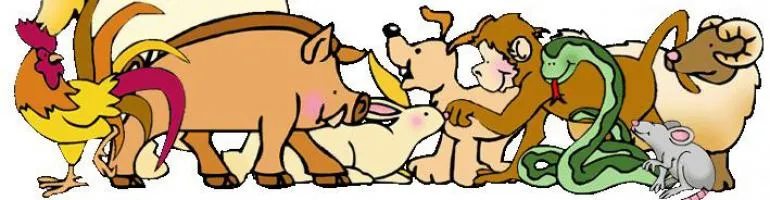 Dibujos de las cadenas alimentarias - Imagui