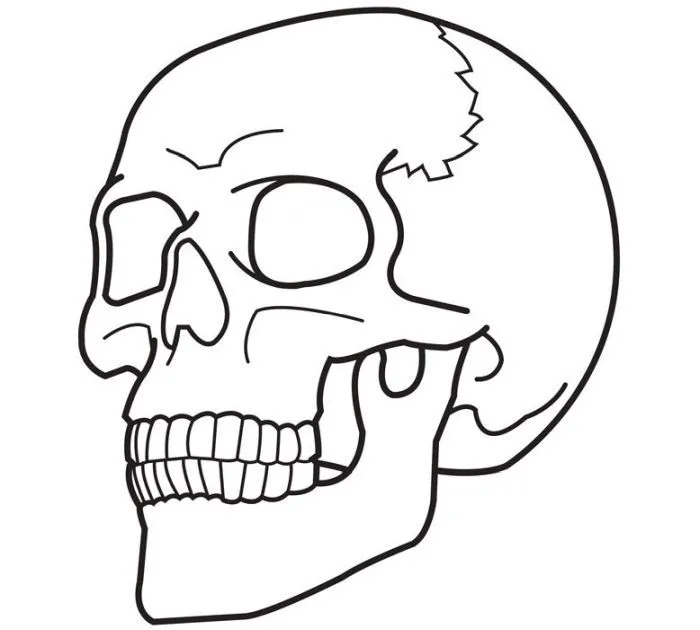 ▷ Dibujos de Calaveras para colorear - Colorear24.com