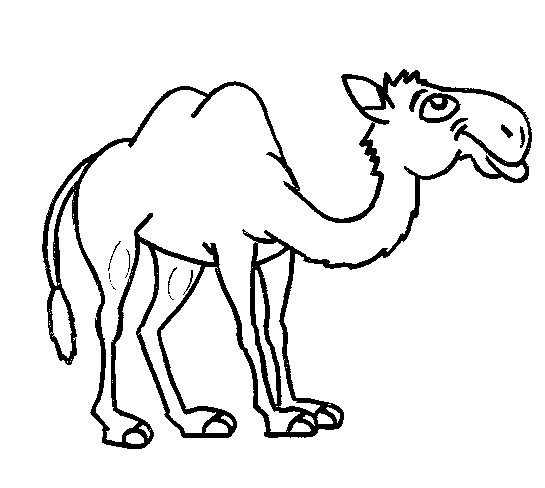 Dibujos de Camellos para colorear | Banco de imagenes Gratis