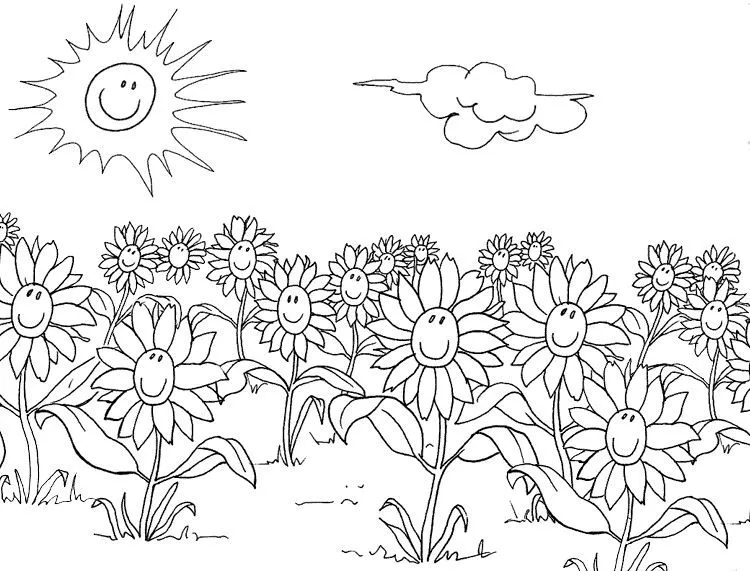 Dibujos de campos de flores para colorear - Imagui