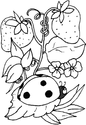 Dibujos de catarinas para colorear - Imagui