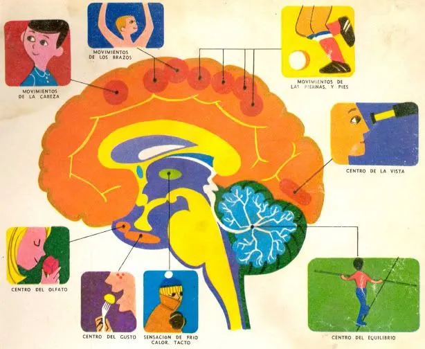 BIOPSICOLOGIA