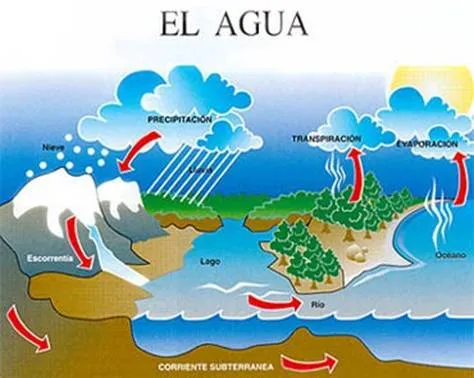 Dibujos Del Ciclo Del Agua Con Nombres