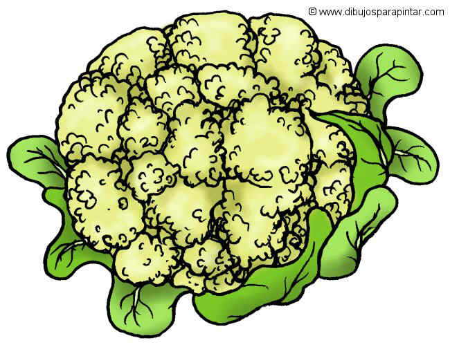 Dibujos de coliflor