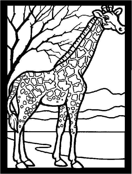 Dibujos para colorear de animales de la selva - Imagui