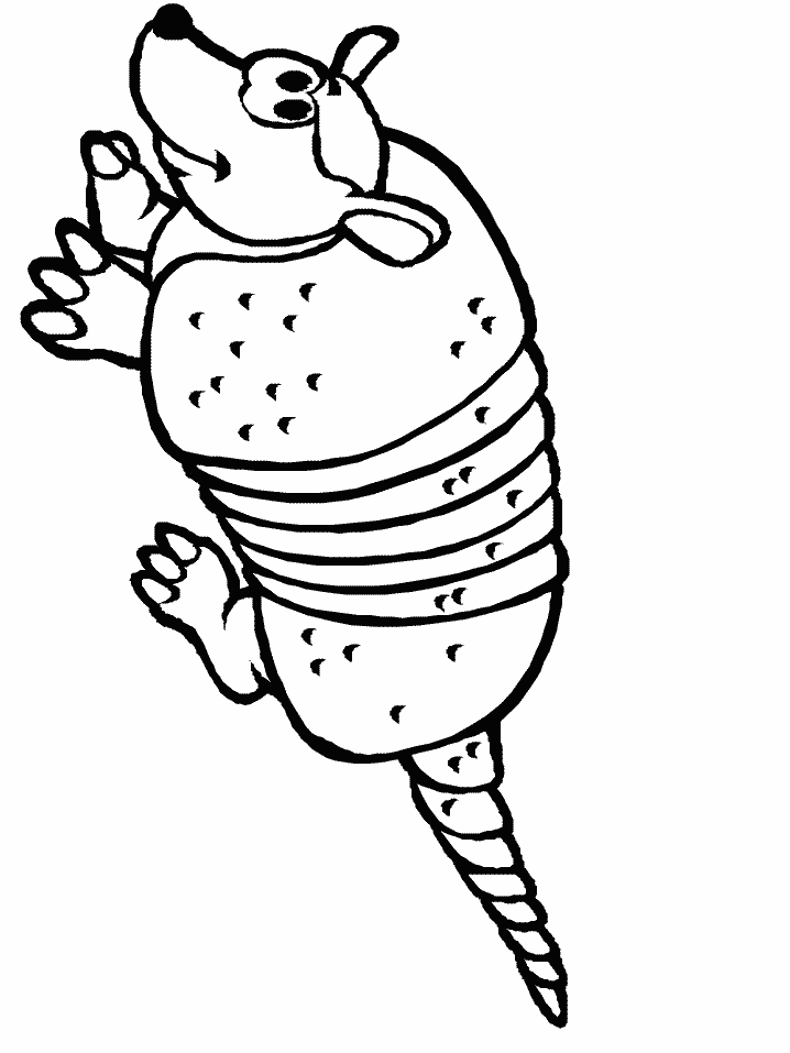 Dibujos para colorear de Armadillos, Plantillas para colorear de ...