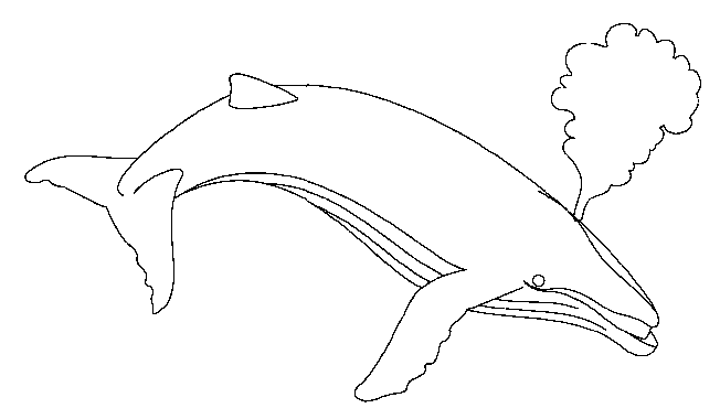 Dibujos para colorear de Ballenas