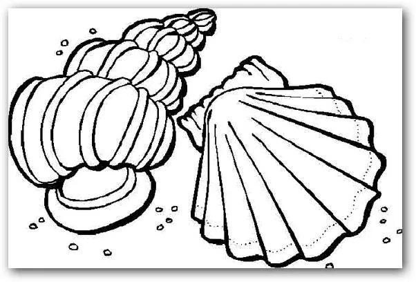 Dibujos para colorear caracoles de mar | Dibujos para Colorear