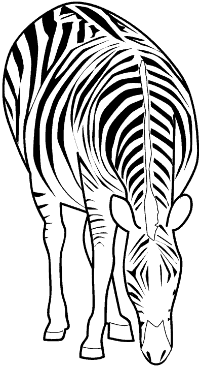 Dibujos para colorear de Cebras, Zebra, Equidae, Plantillas para ...