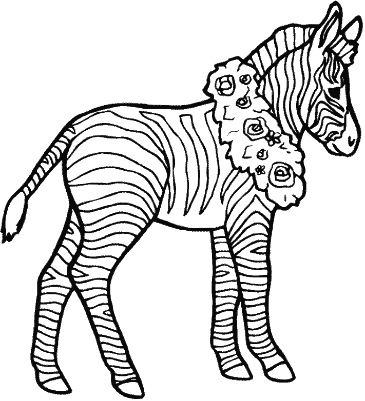 Dibujos para colorear de Cebras, Zebra, Equidae, Plantillas para ...