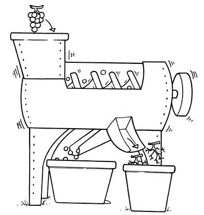 dibujos para colorear ciclo del vino - Jugar y colorear