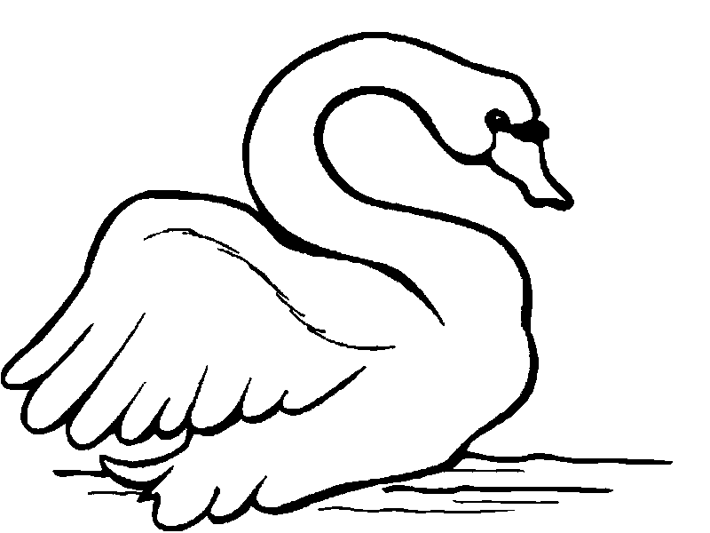 Dibujos para colorear de Cisnes, Plantillas para colorear de Cisnes |  Páginas para colorear, Páginas para colorear para imprimir gratis, Dibujos  para colorear