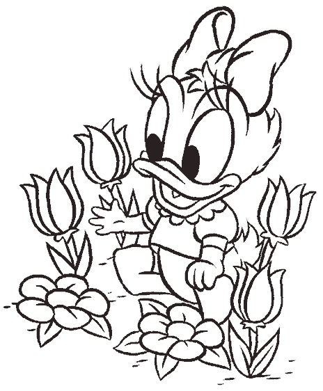 Dibujos para colorear de Daisy Duck, Paperina, Margarida ...