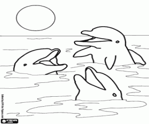 Dibujos para colorear de Delfines y otros mamíferos marinos ...