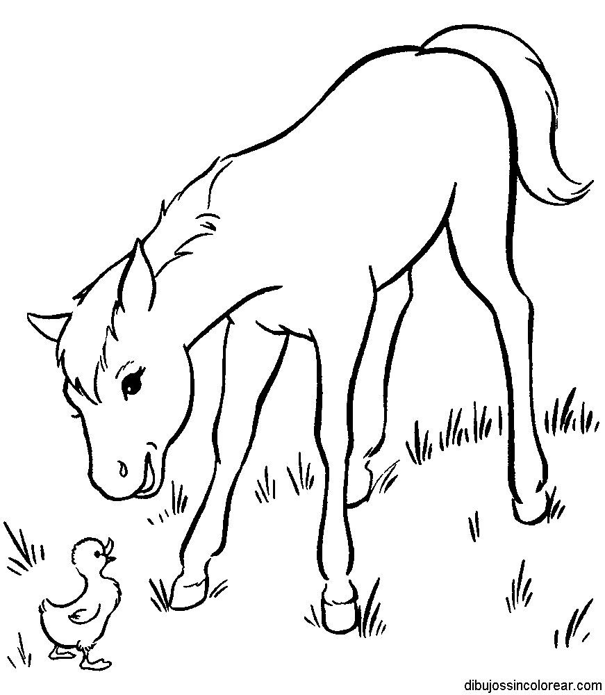 Dibujos Sin Colorear: Dibujos de Caballos para Colorear