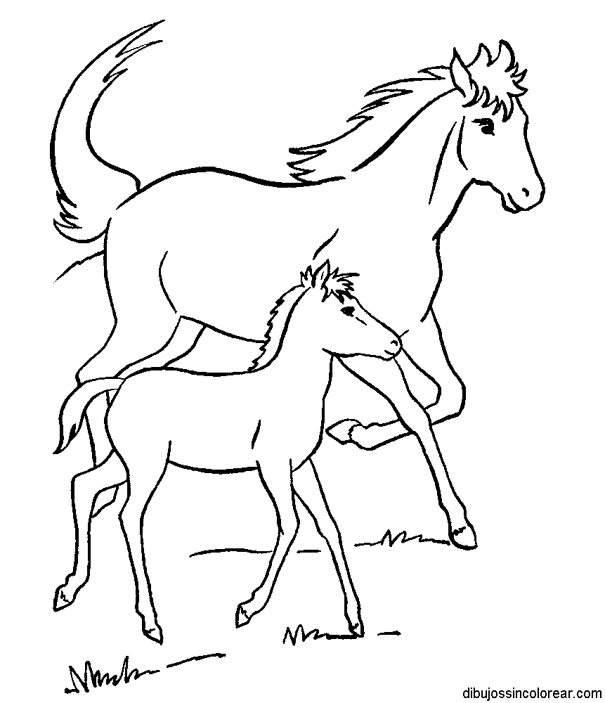 Dibujos Sin Colorear: Dibujos de Caballos para Colorear