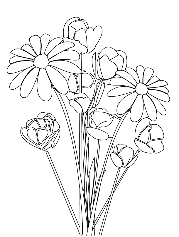 Dibujos para colorear: Dibujos para colorear - Flores - Margaritas