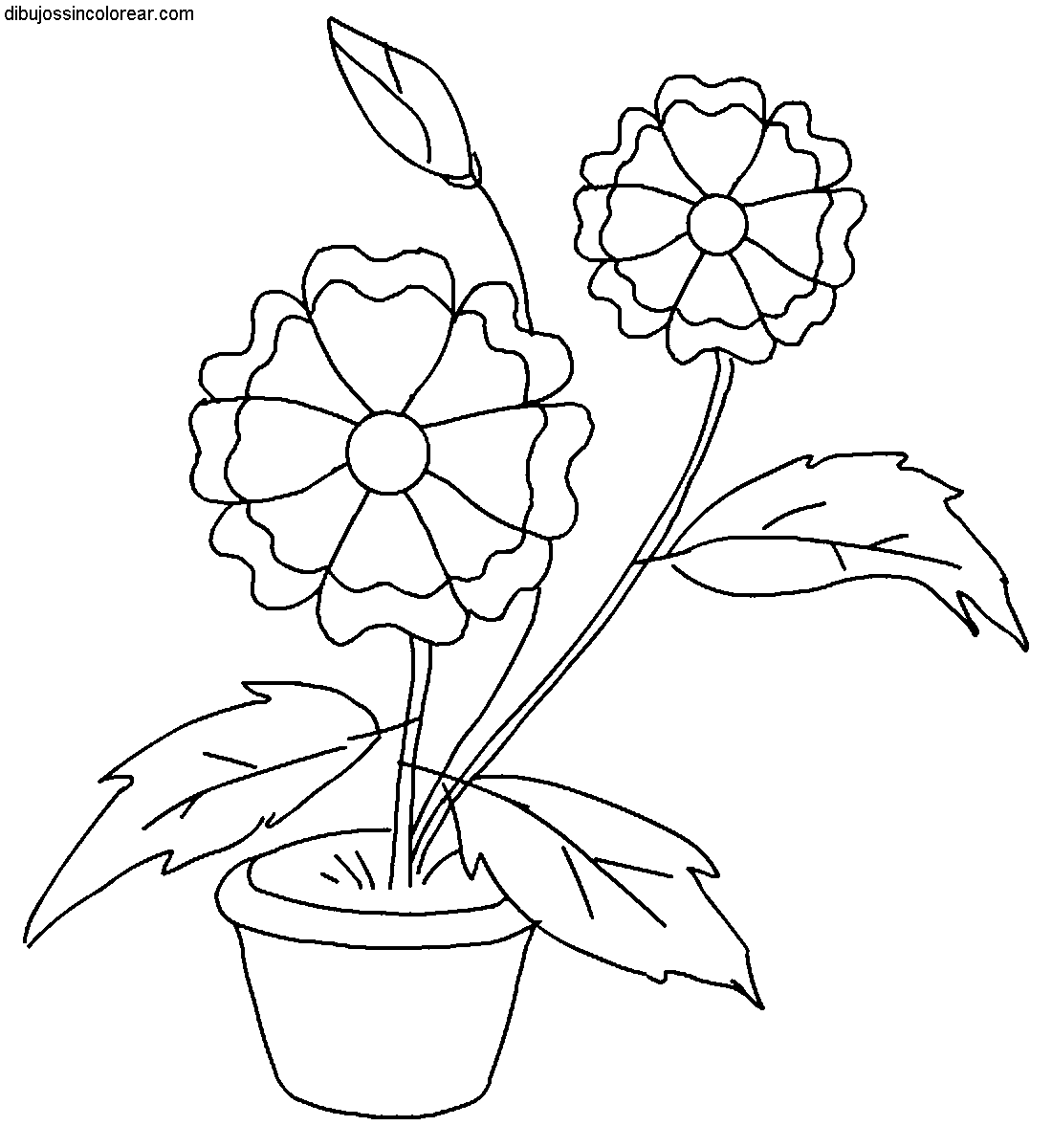 Dibujos Sin Colorear: Dibujos de Flores para Colorear