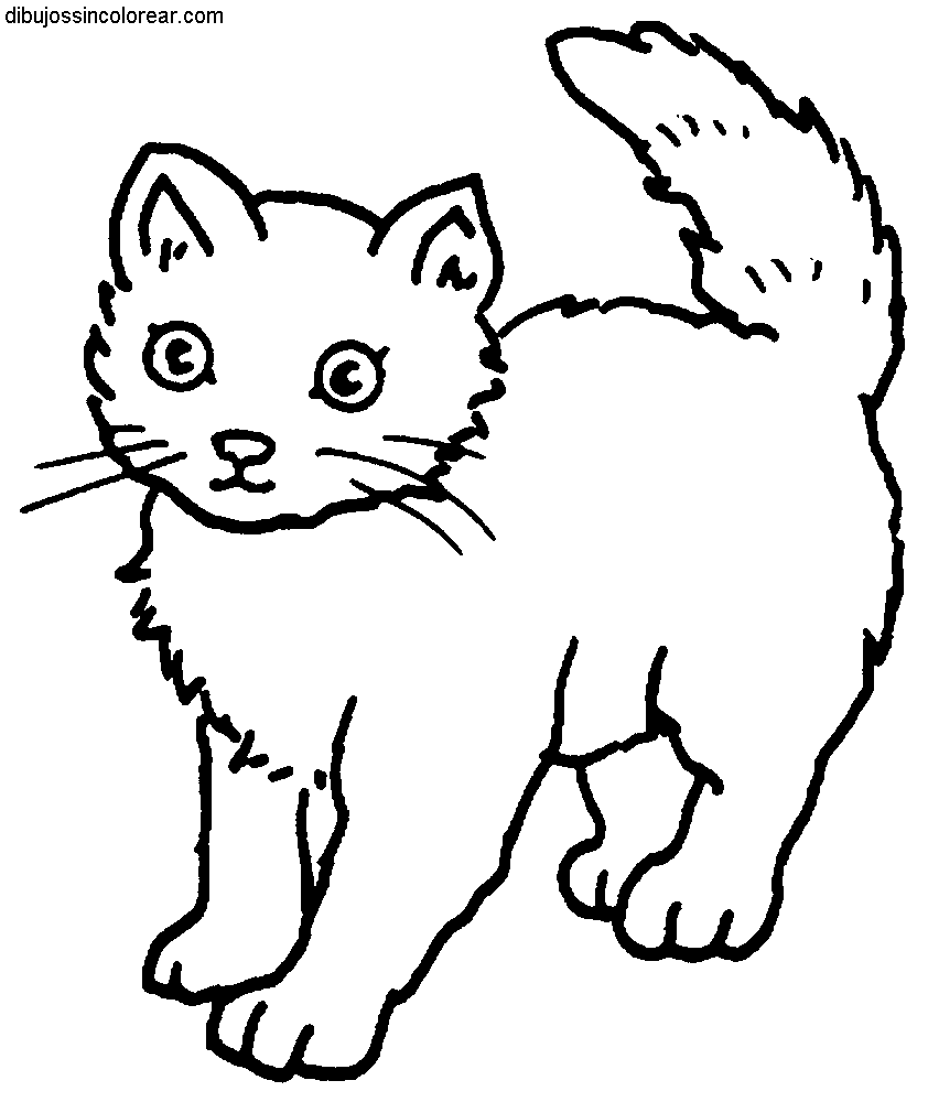 Dibujos Sin Colorear: Dibujos de Gatos para Colorear