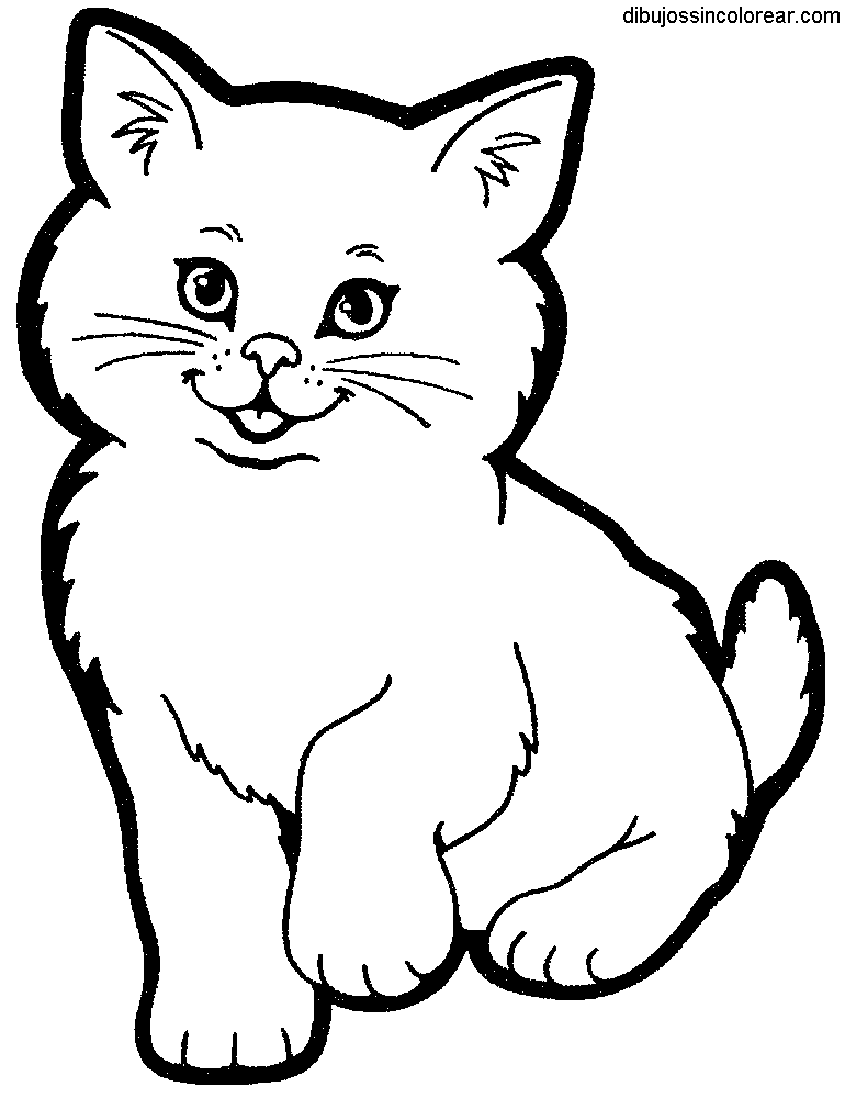 Dibujos De Gatos Para Colorear Y Pintar