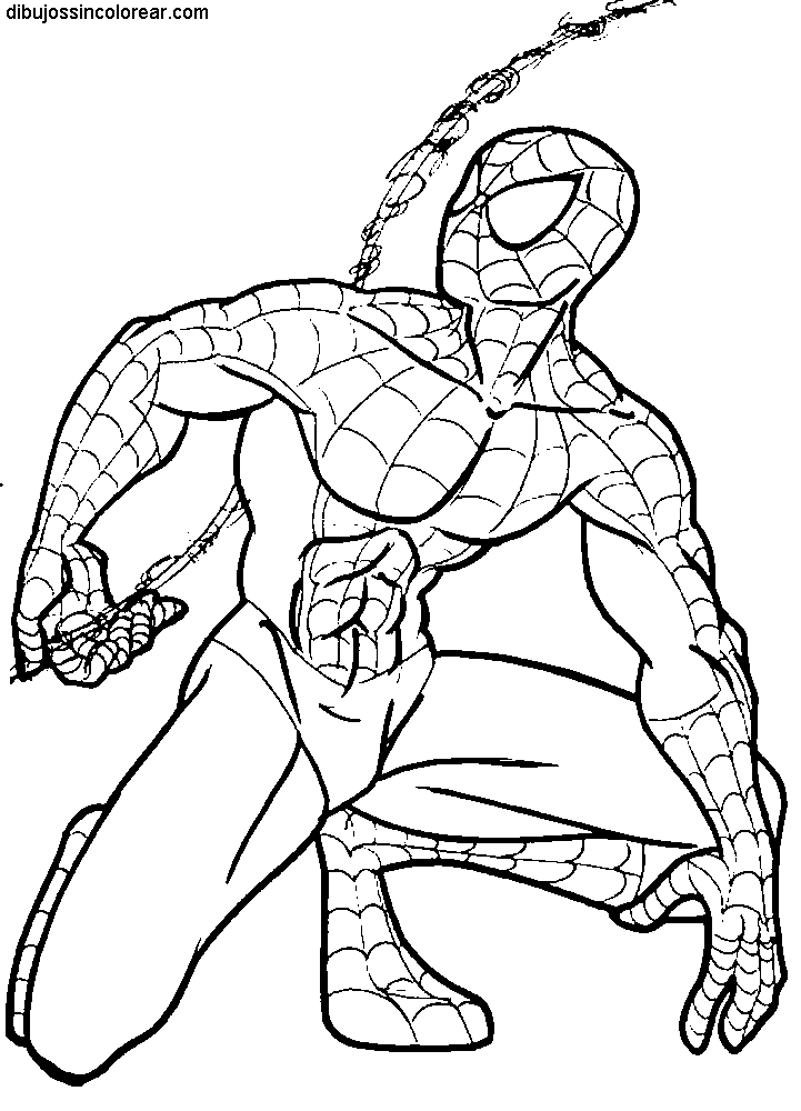 Dibujos Sin Colorear: Dibujos del Hombre Araña (Spiderman) para ...