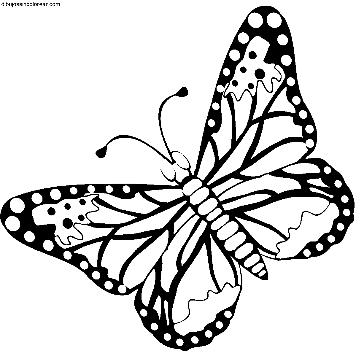 Dibujos Sin Colorear: Dibujos de Mariposas para Colorear