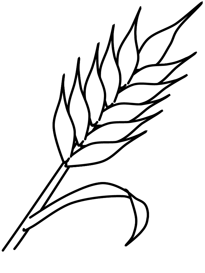 Dibujos para colorear espigas de trigo - Imagui