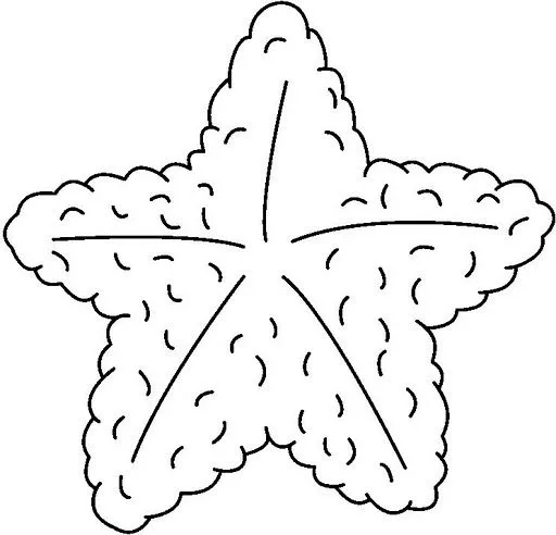 Dibujos para colorear estrellas de mar - Imagui