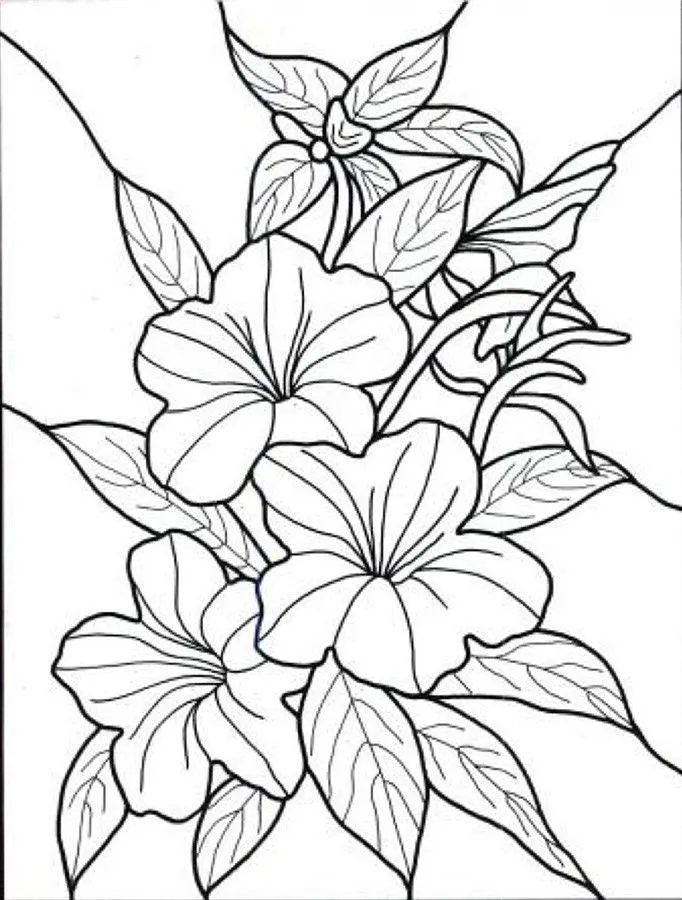 dibujos para colorear de flores exoticas … | Pinterest