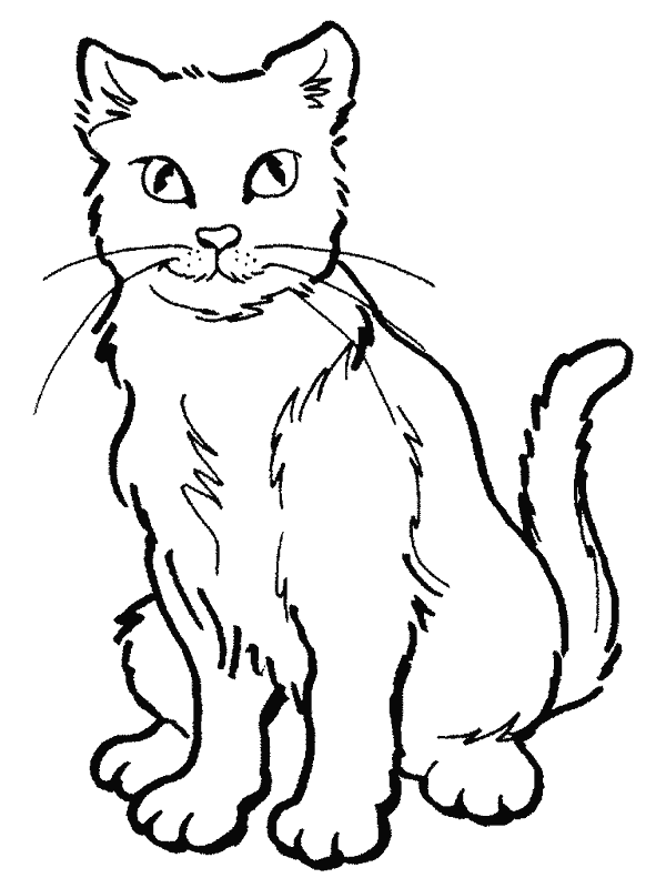 Dibujos para colorear de Gatos, Felis silvestris catus, cat, chat ...