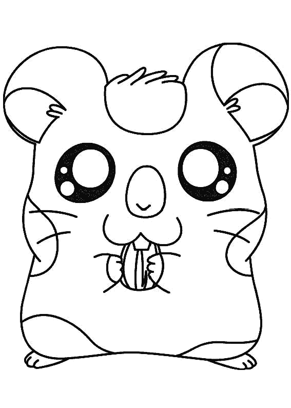 Hamster animado para colorear - Imagui