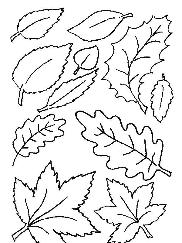 hojas de moldes Colouring Pages (page 3)