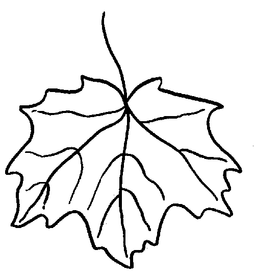 dibujo de hoja de uva