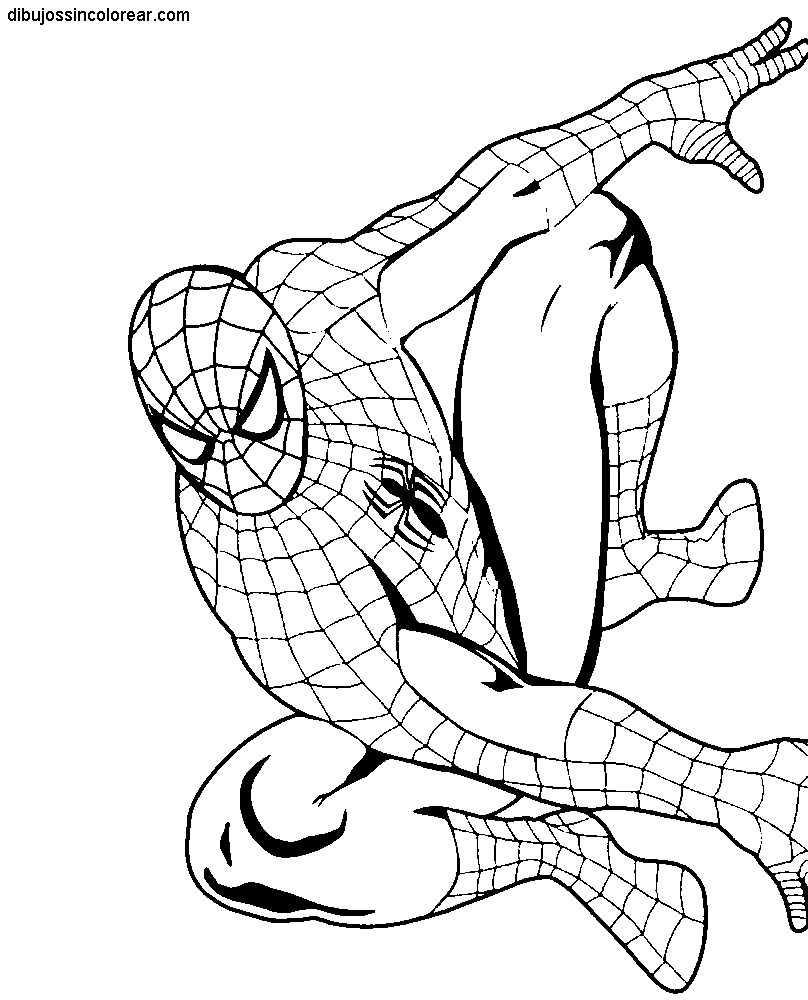 Dibujos para colorear del hombre araña 4 - Imagui