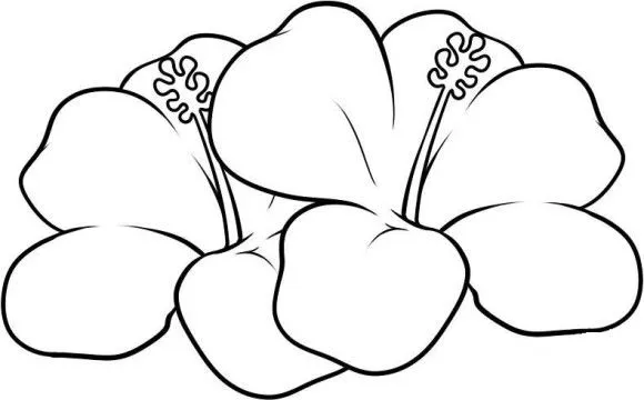 Dibujos para colorear imágenes de mariposas y flores hermosas ...